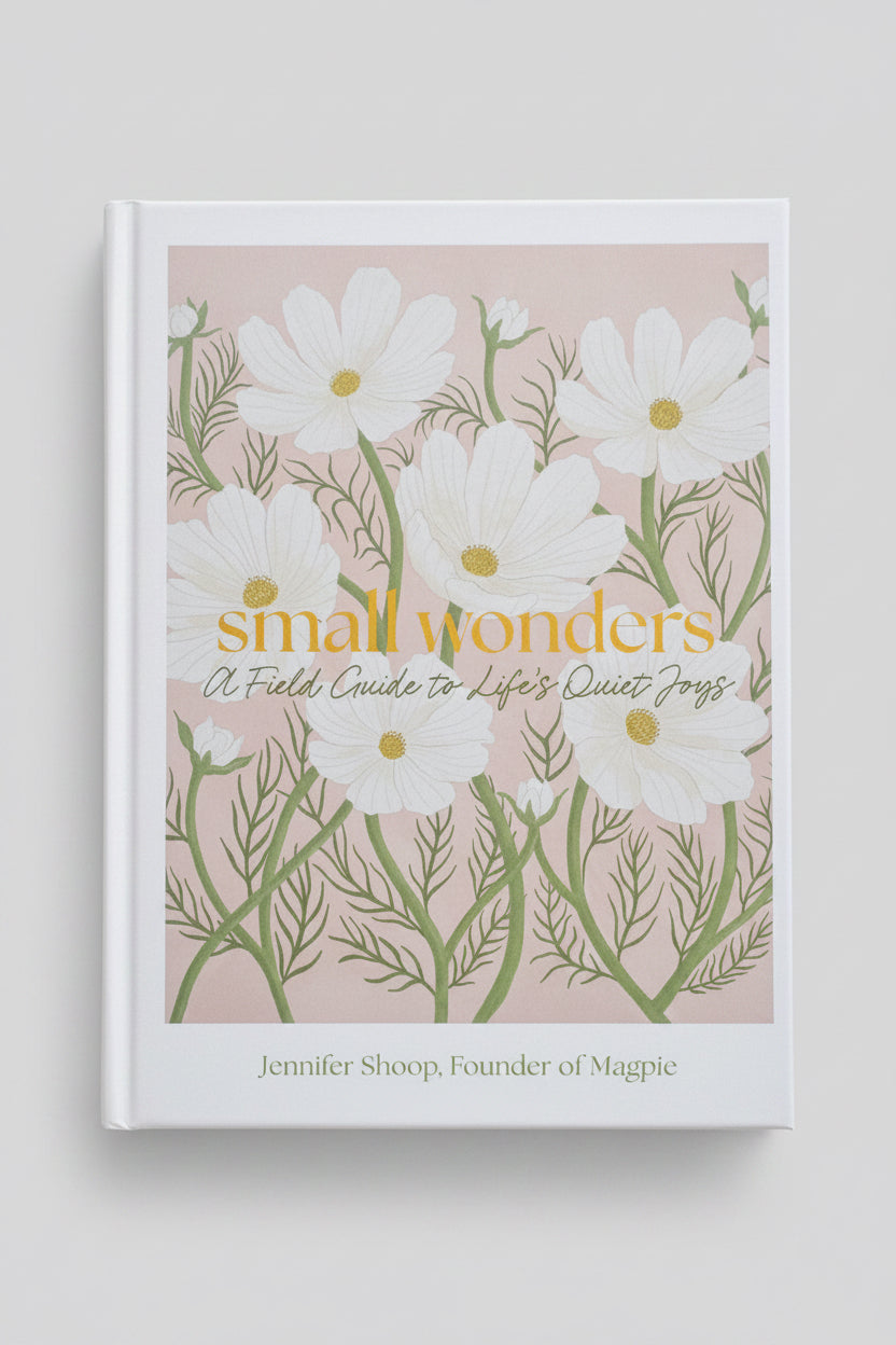 Small Wonders book cover by Jennifer Shoop