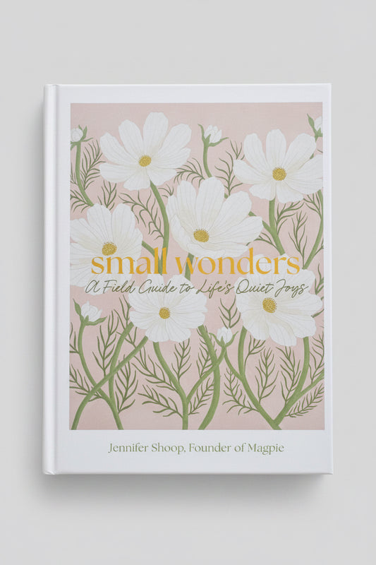 Small Wonders book cover by Jennifer Shoop